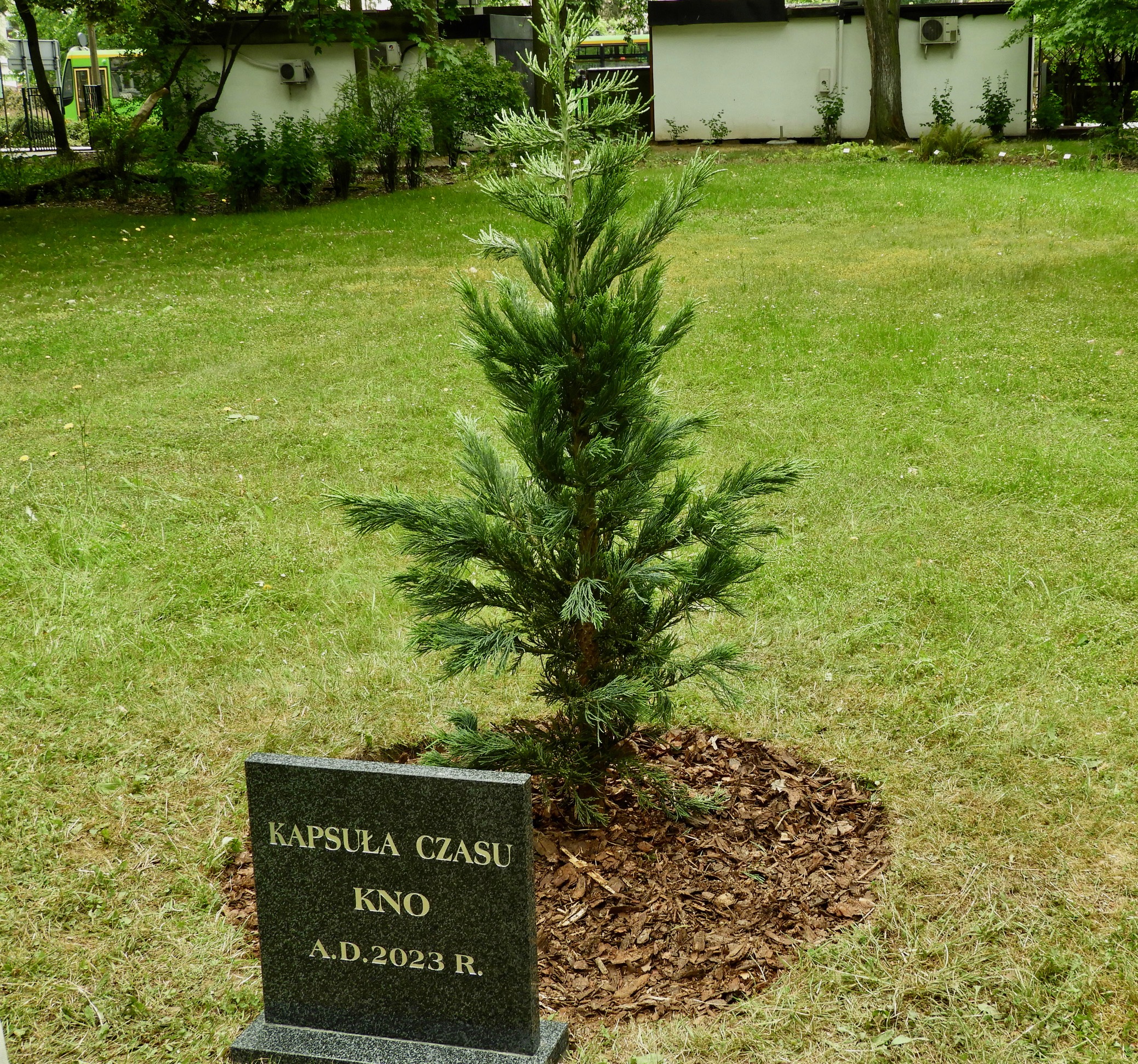 IMG 2702