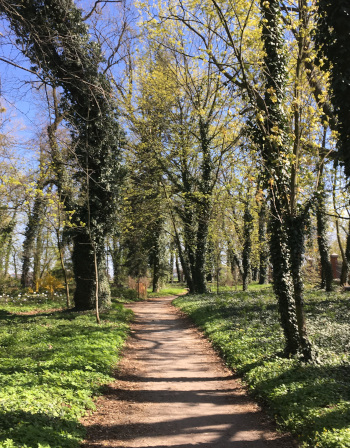 Plewiska201904
