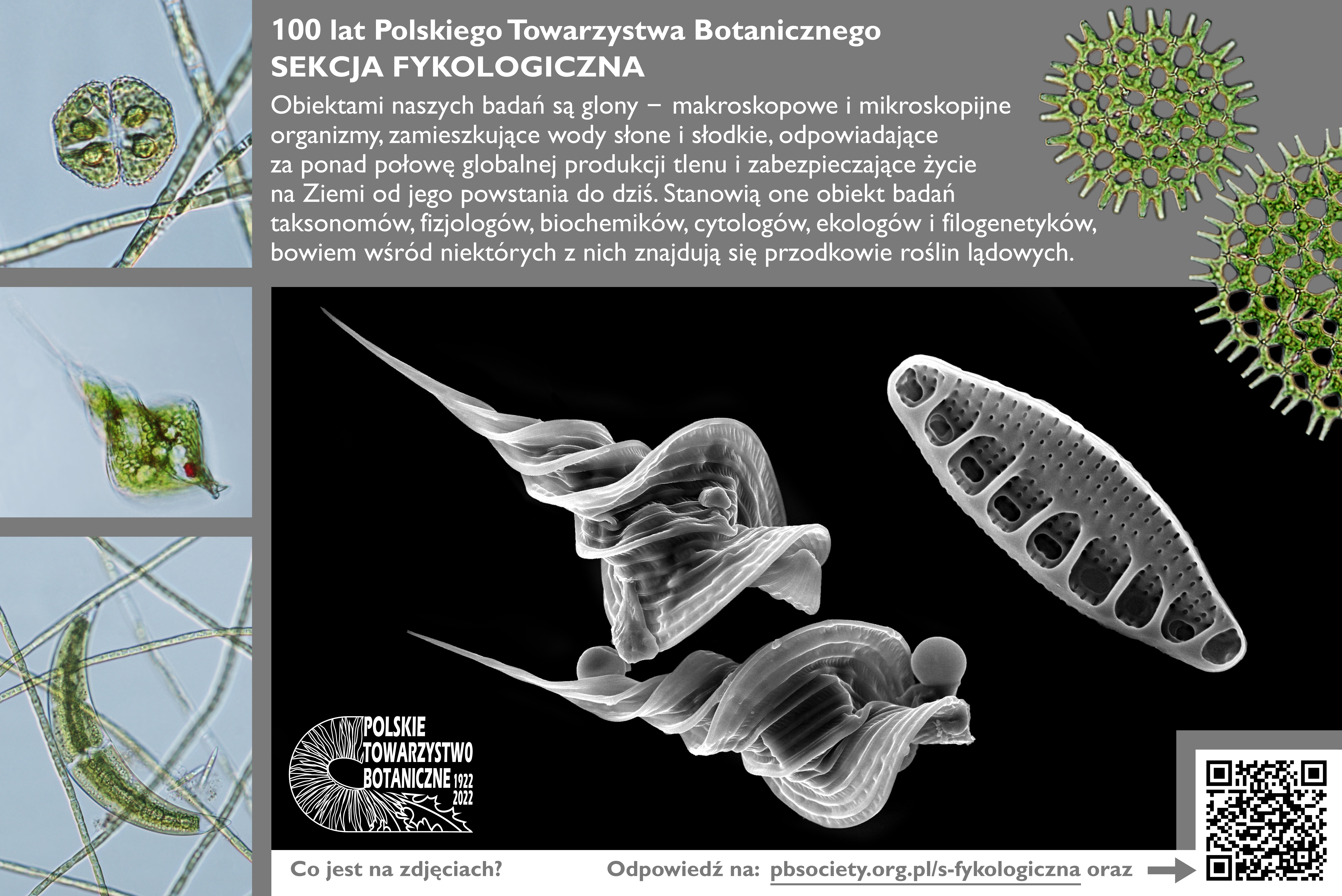 Tablica S Fykologiczna DRUK PNG A
