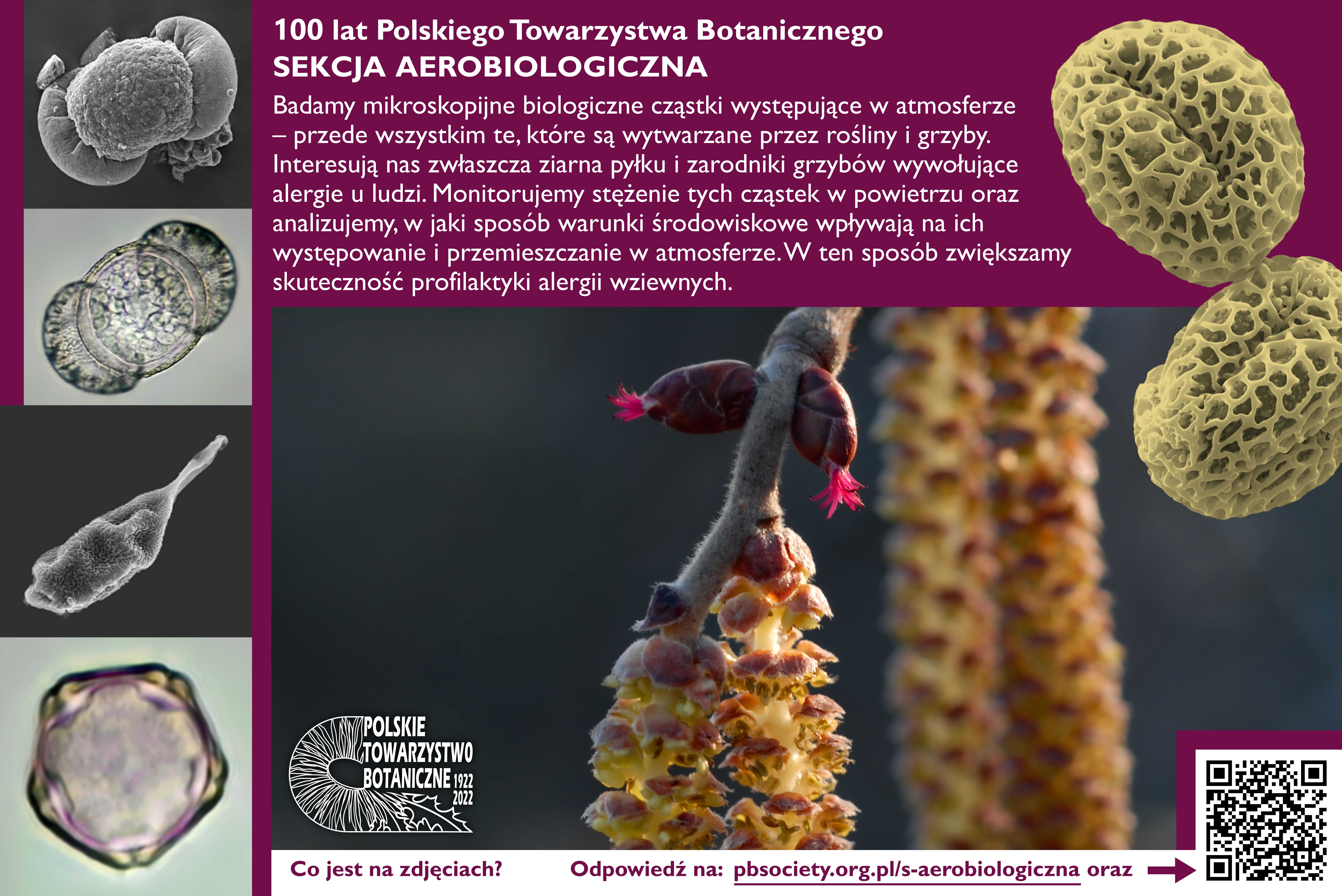 Tablica S aerobiologiczna DRUK PNG A