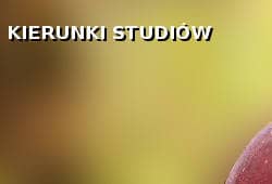 Kierunki studiów