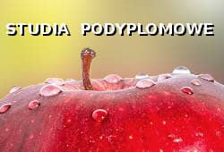 Studia podyplomowe
