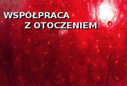 Współpraca z otoczeniem